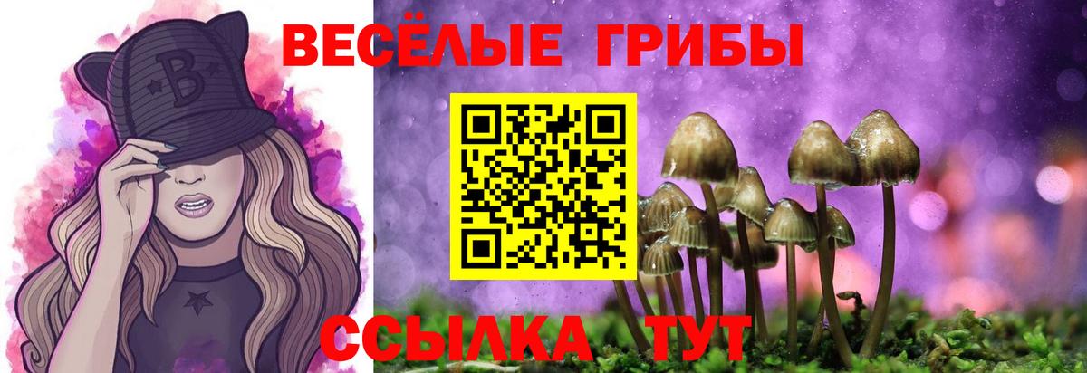 Псилоцибиновые грибы мухоморы Ногинск