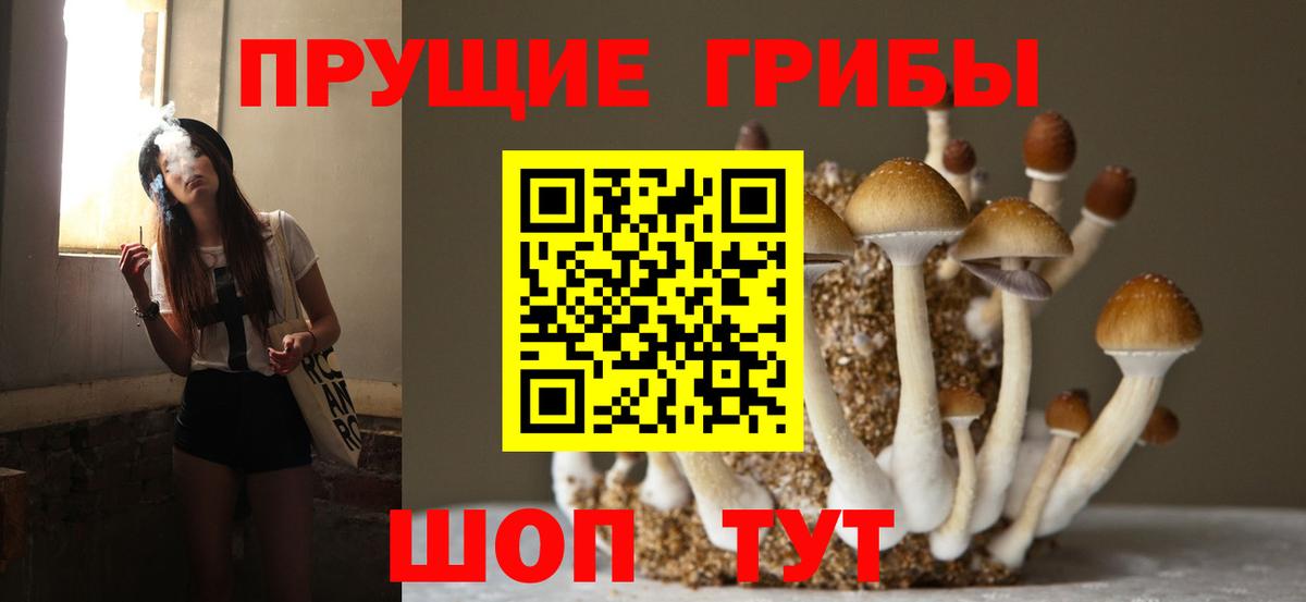 Ногинск  цены   Вход с VPN  Галлюциногенные грибы Psilocybine cubensis 